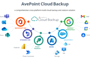 AvePoint Reports Strong Q2 2024 Financials with Robust SaaS Growth